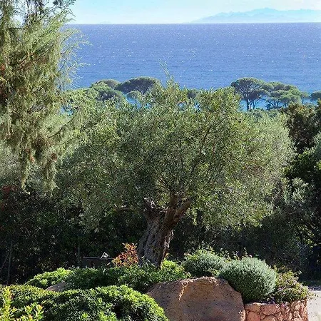 Hotel Les Bergeries De Palombaggia Porto Vecchio
