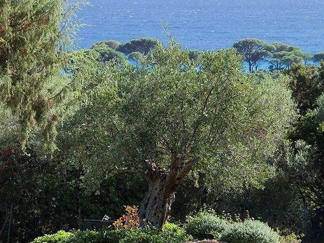 Hotel Les Bergeries De Palombaggia Porto Vecchio