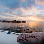 Les Bergeries De Palombaggia Porto-Vecchio (Corsica)