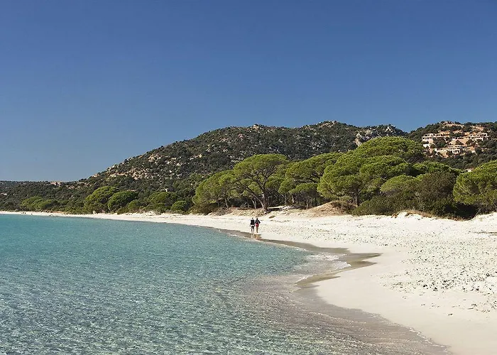 Les Bergeries De Palombaggia